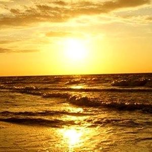 Meet your Posher, Marianne